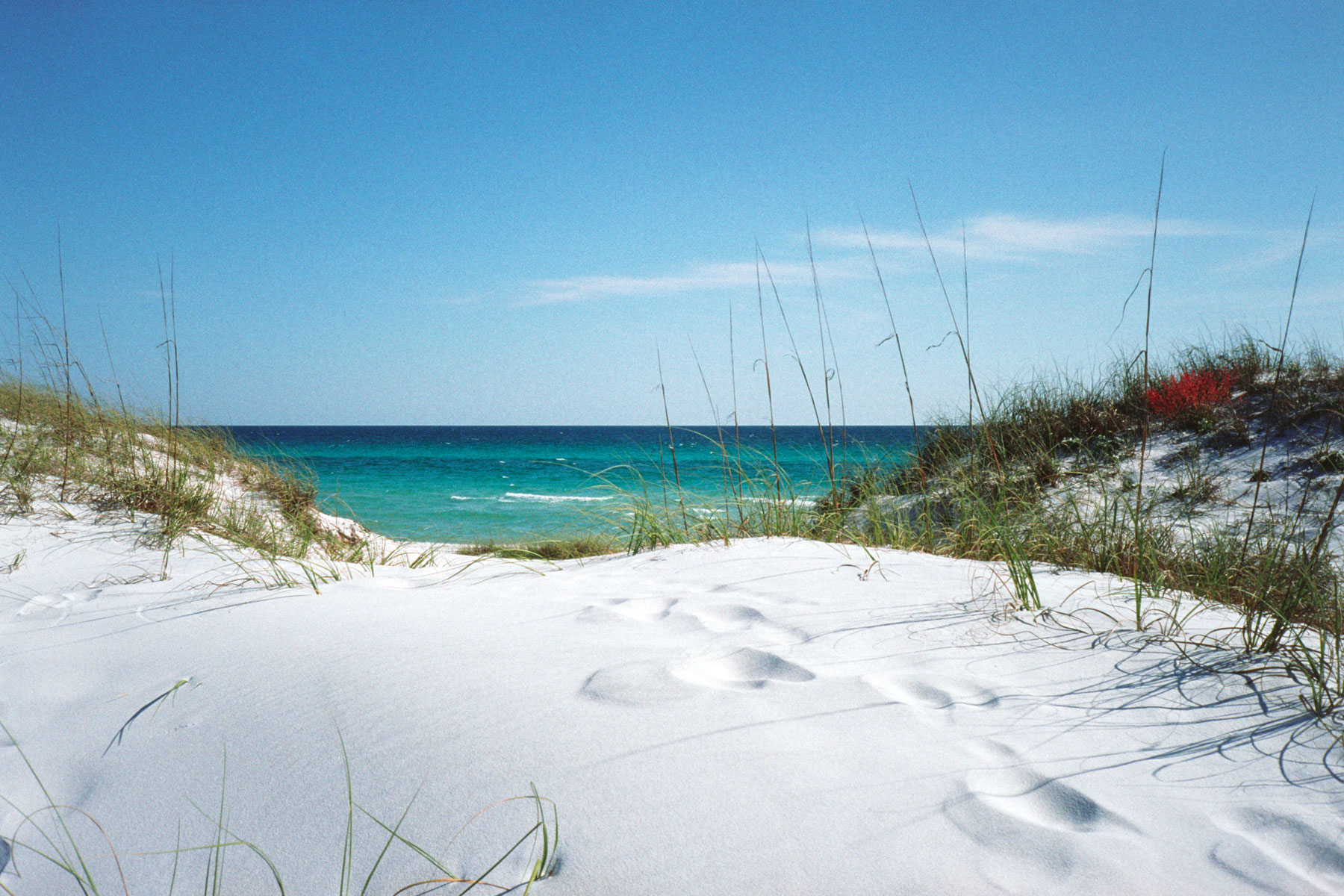 Desktop Pictures: Grayton Beach Dunes - 1800x1200